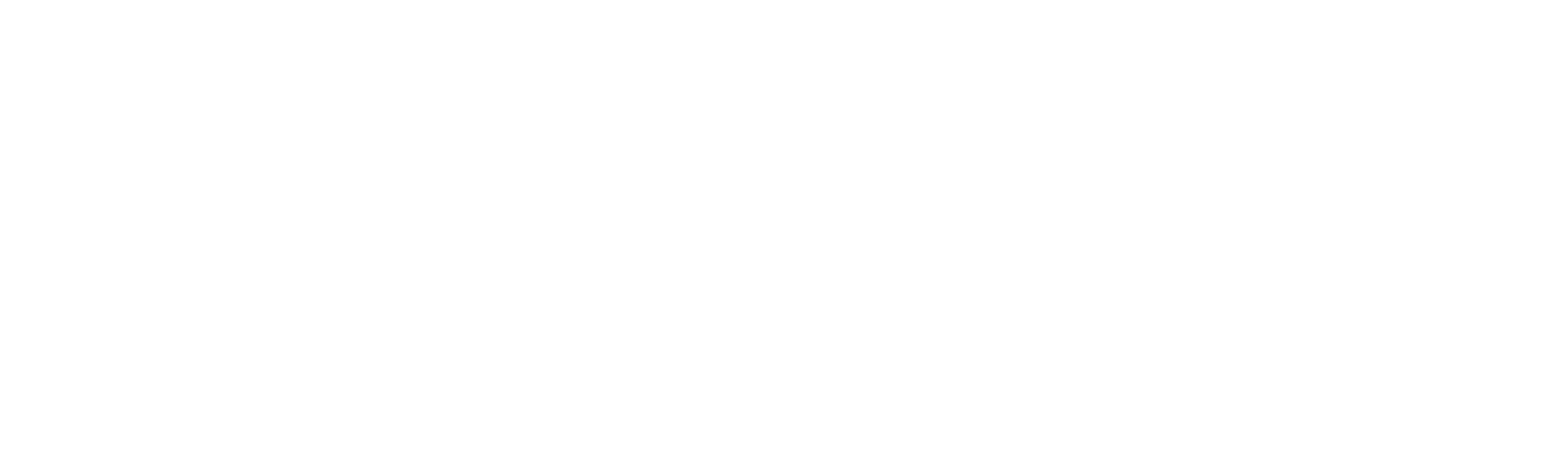 Secured Carbon Logo